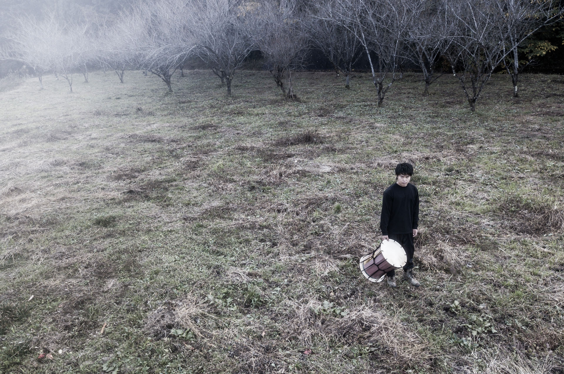 Taikoイメージ画像